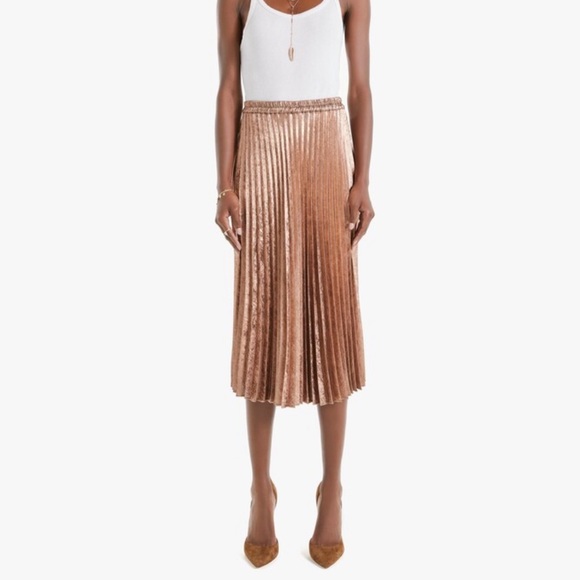 XiRENA Dresses & Skirts - Xirena Queen Pleated Midi Skirt Bronze Metallic